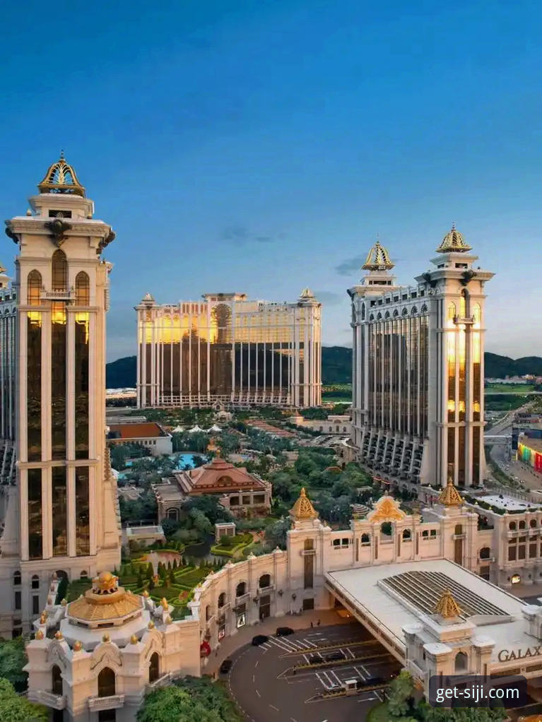 四季酒店积分体系全面解析：新手必备的忠诚度计划深度分析